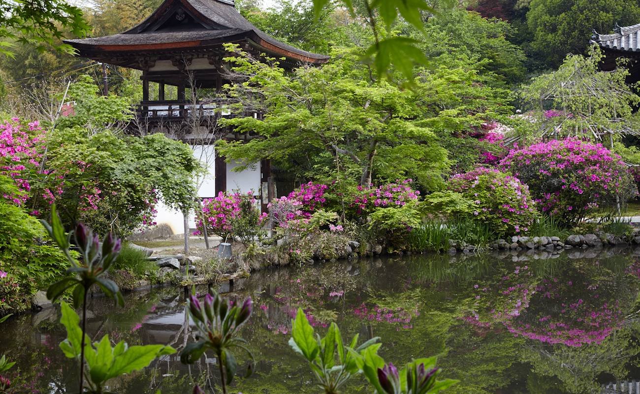 🌸 조가쿠지 (長岳寺)